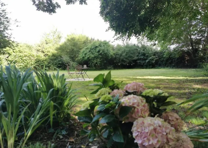 Du Panty Affittacamere